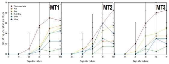 Effects of light qualities and maltose concentration on regeneration plantlets from PLB of Cymbidium cv. Green Ball for 50 days of culture.