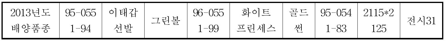 2013년도 종묘생산 심비디움 원예특작과학원 육성품종