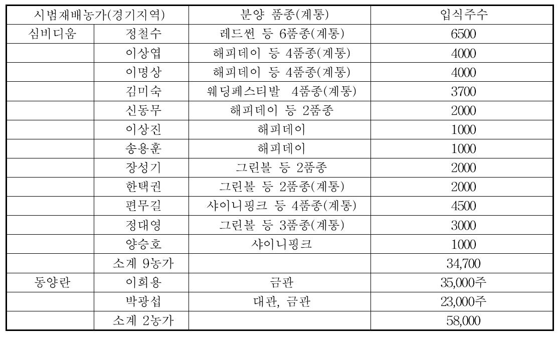 2013년 심비디움 시범재배묘 입식 현황