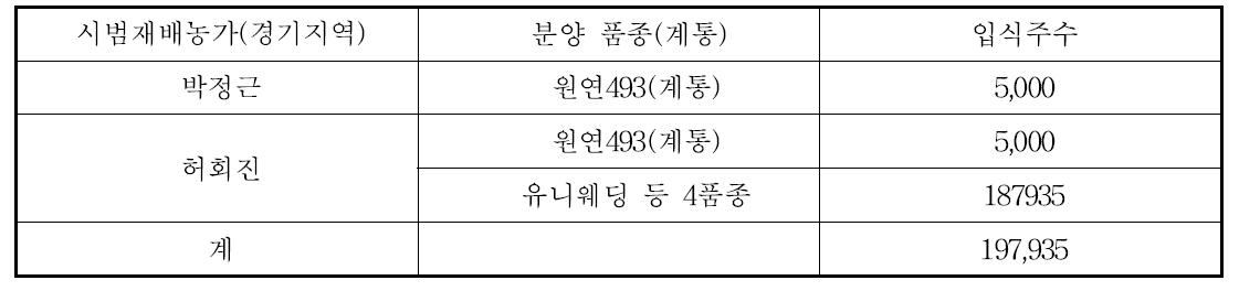 2013년 팔레놉시스 시범재배묘 입식 현황