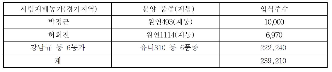 2015년 팔레놉시스 시범재배묘 입식 현황