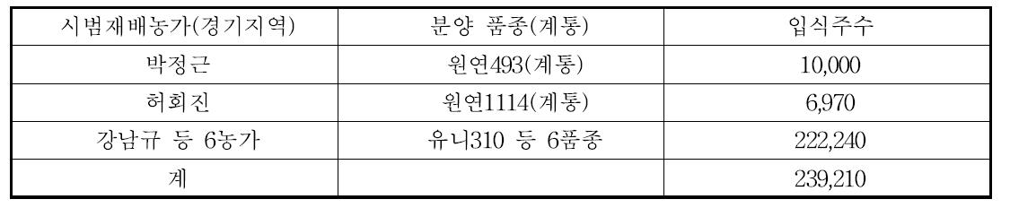 2015년 팔레놉시스 시범재배묘 입식 현황