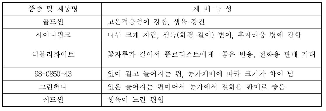 시범재배 심비디움 품종(계통)별 재배특성