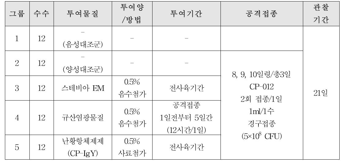 괴사성장염 유발모델 대상 항생제대체제 방어효능 실험계획