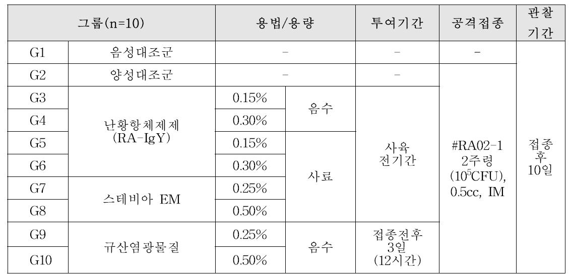 오리 리메렐라 감염증 유발모델 대상 항생제대체제 효능평가 시험계획