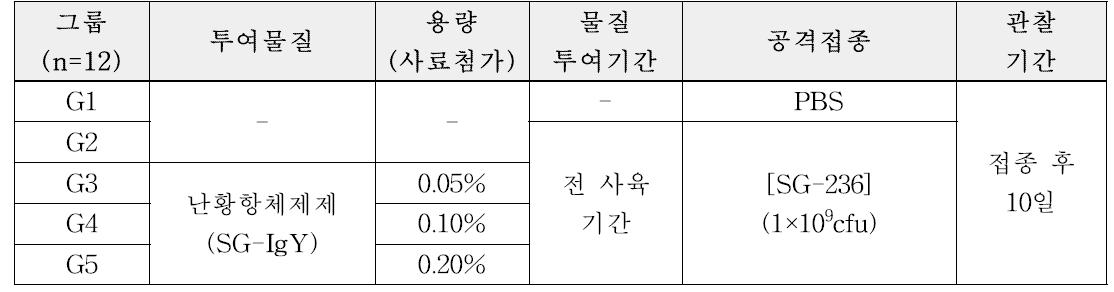 2주령 닭 가금티푸스 질병모델대상 난황항체제제 효능평가 시험계획