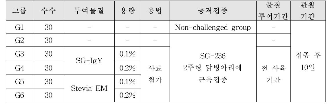 2주령 닭병아리에서 가금티푸스 유발모델 대상 항생제대체제 효능평가계획