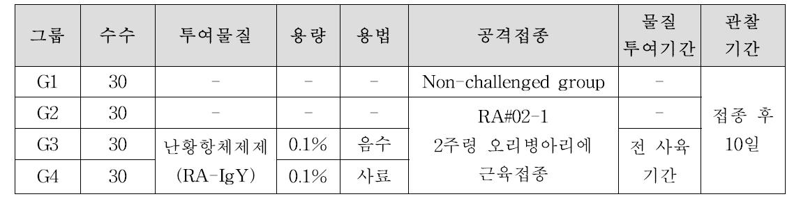 2주령 오리병아리에서 리메렐라 감염증모델 대상 RA-IgY 효능평가계획