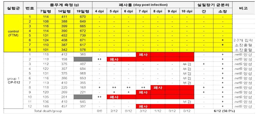 그룹 1(단독접종, CP12) 접종 후 증체율, 폐사율 및 균주 재분리 결과