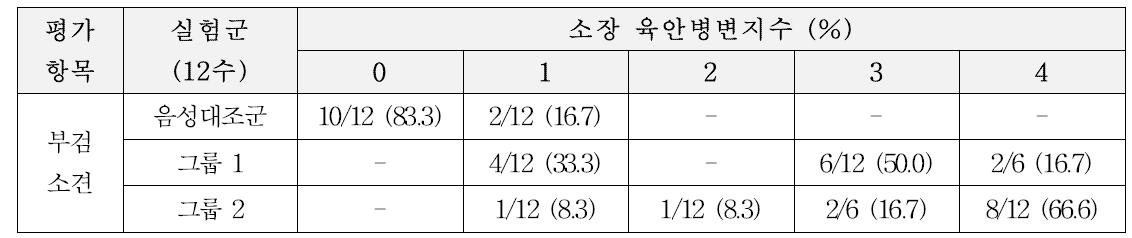 닭 괴사성장염 유발모델에서 그룹별 소장 병변지수