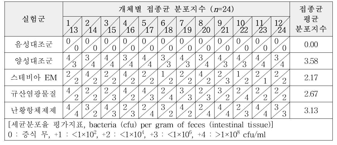 소장에서 Clostridium perfringens 접종균의 분포지수 평가