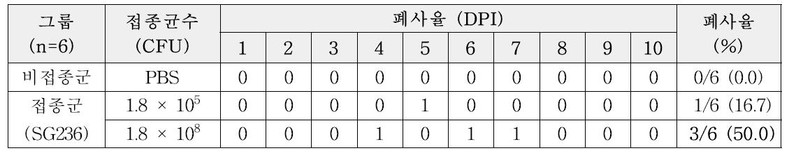 1주령 닭병아리에서 SG236 접종에 따른 폐사율