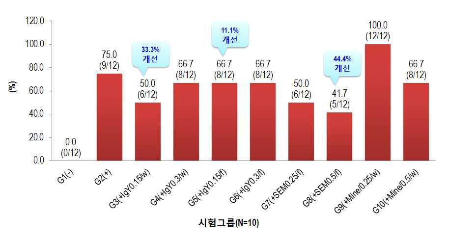 가금티푸스 유발모델 대상 실험군 폐사율