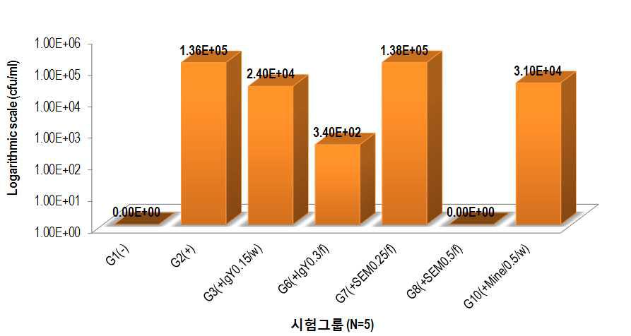 가금티푸스 유발모델 대상 혈액 내 접종균 분포율