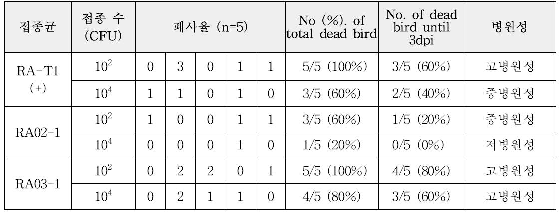 Egg Lethality assay에 의한 오리 리메렐라증 유발 균주선발 결과