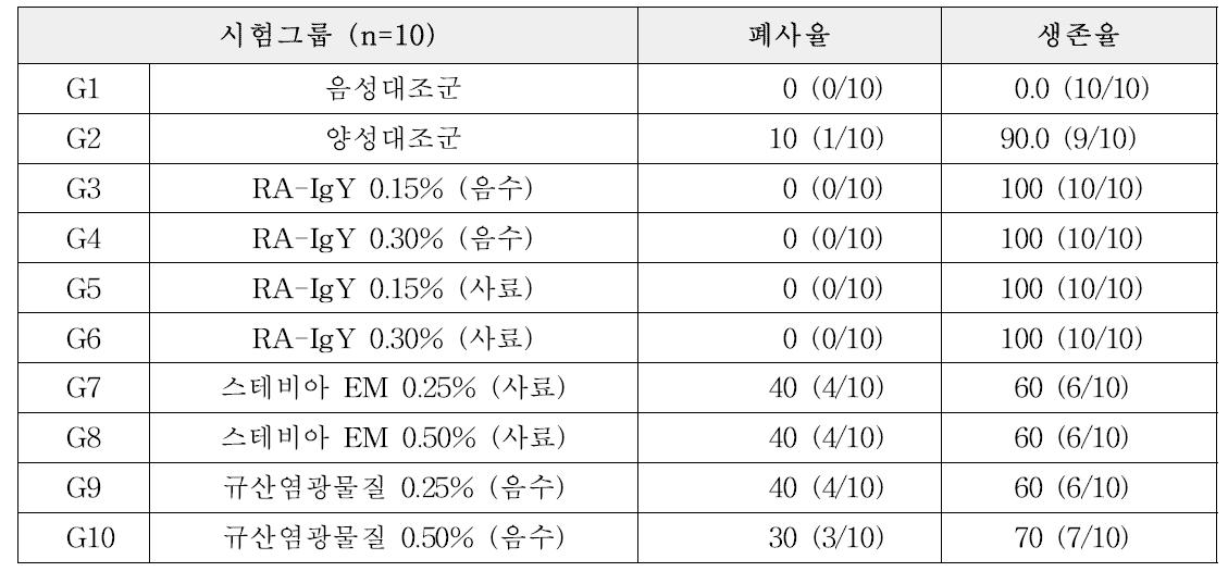 오리 리메렐라 감염증 유발모델 대상 실험군 폐사율