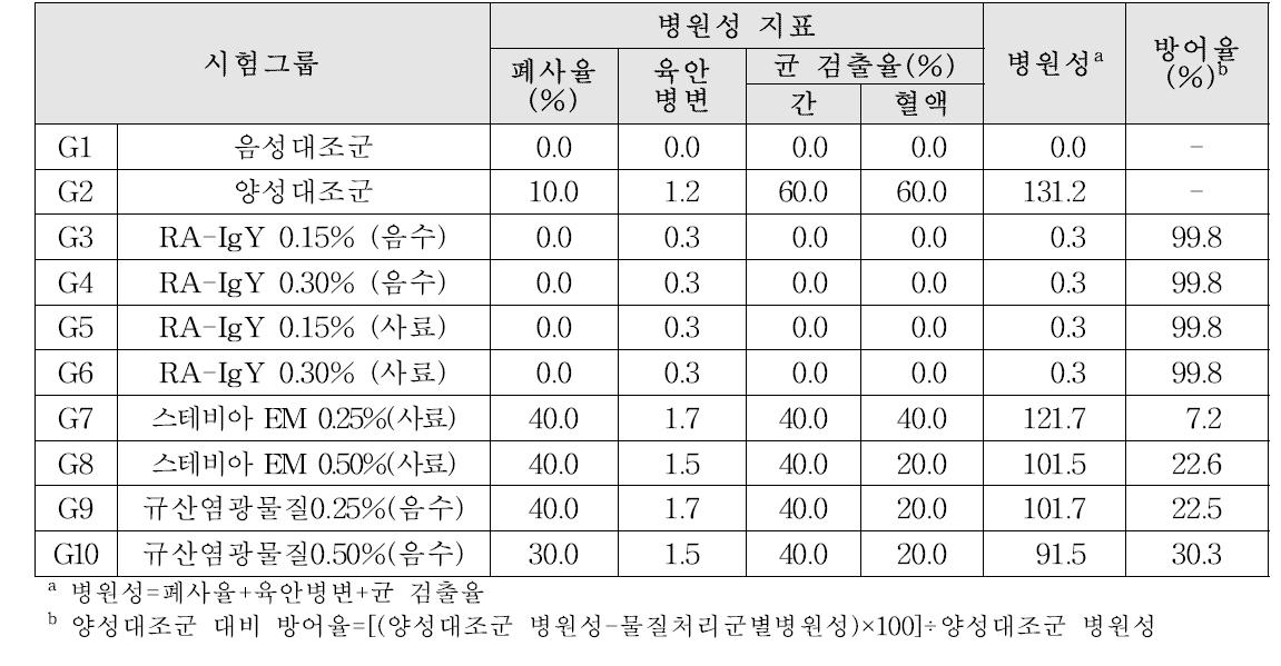 오리 리메렐라 감염증 유발모델 대상 실험군의 병원성과 방어율