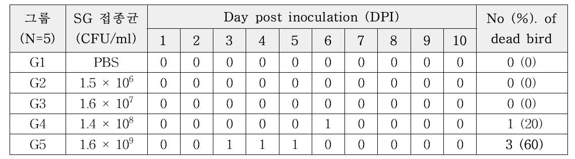 2주령 닭병아리에서 가금티프스 접종균수에 따른 폐사율