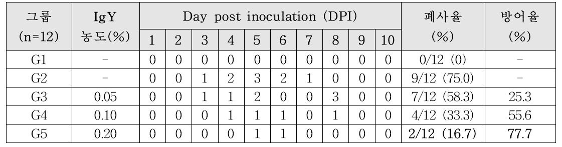 가금티푸스 유발모델대상 시험군들의 폐사율 및 방어율