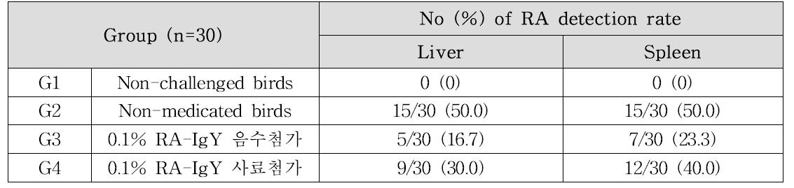 시험군들의 실질장기에서 RA 접종균 검출율
