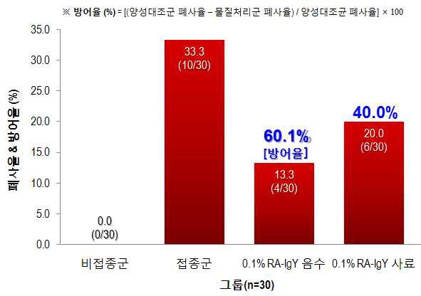 오리 리메렐라 감염증모델 대상 RA-IgY 첨가에 따른 폐사율과 방어율