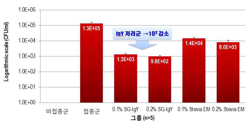 공격접종 후 시험군들의 혈액에서 접종균 검출