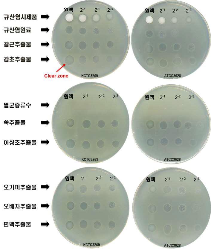 Spot-on lawn assay.