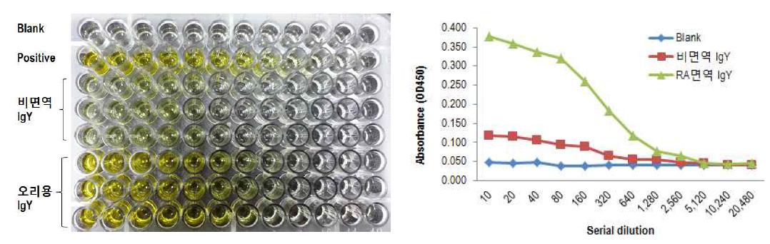 ELISA에 의한 RA-IgY 항체역가 확증시험