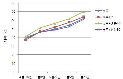 송아지 체중 변화