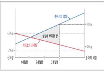 분만후 한우 산유량과 송아지 성장