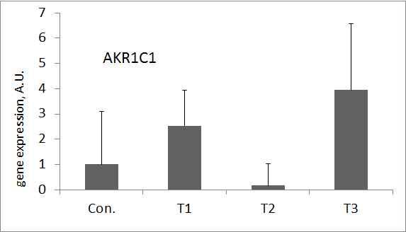 AKR1C1 발현