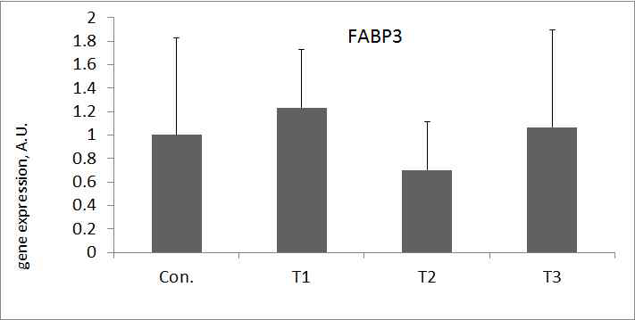 FABP3 발현