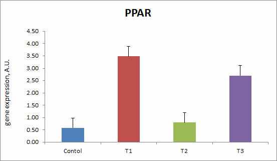 등심내 PPAR 발현