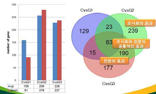 처리구별 차등발현 유전자 분석 및 그룹별 효과