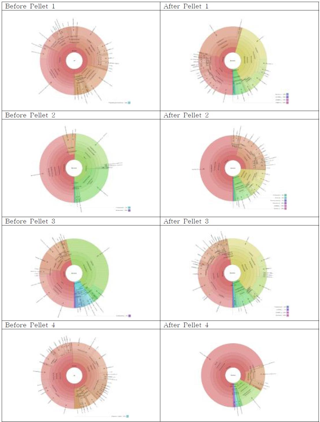 Pellet 사료 처리 전후에 따른 반추위내 미생물군총의 변화