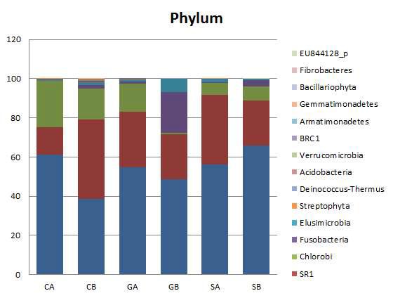 Characterization of phylum for CB(Control Before), SB (Starch Before), GB (Grass Before), CA (Control After, G1 group), SA (Starch After, G3 group), and GA (Grass After, G2 group).