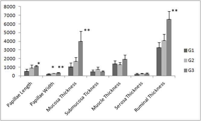 Characterization of phylum for CB(Control Before), SB (Starch Before), GB (Grass Before), CA (Control After, G1 group), SA (Starch After, G3 group), and GA (Grass After, G2 group).