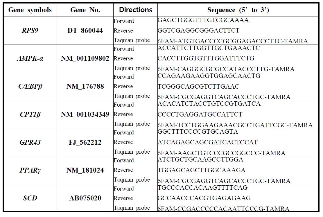 지방세포내 지방관련 유전자(lipogenic gene)의 Primer set