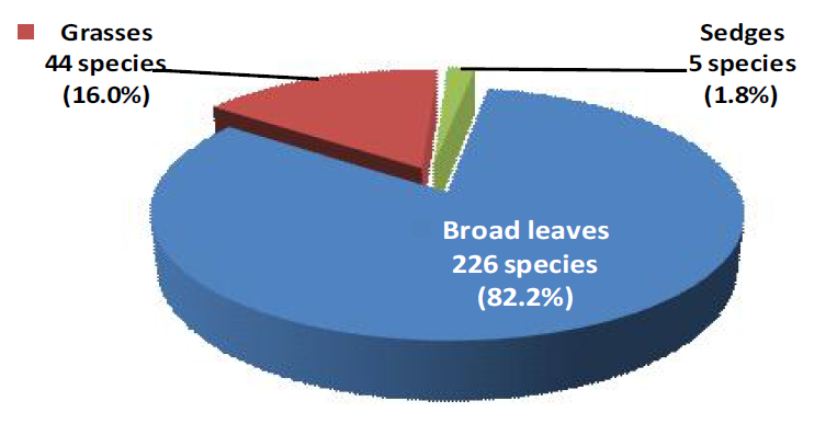 Number of weed species in pasture weeds based on morphological characteristics in Korea.