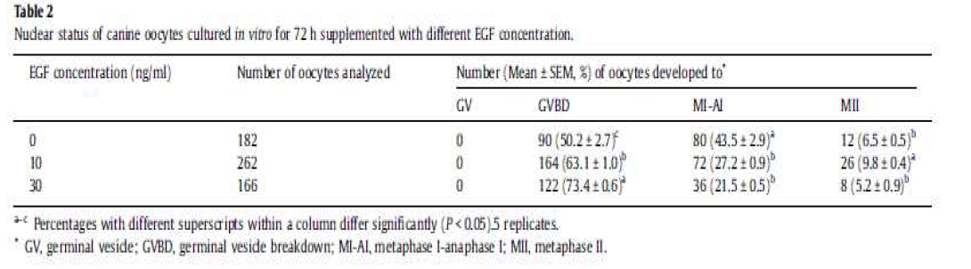 생체 외 성숙 시 배양액에 EGF를 첨가해 주었을 때의 난자 성숙률.