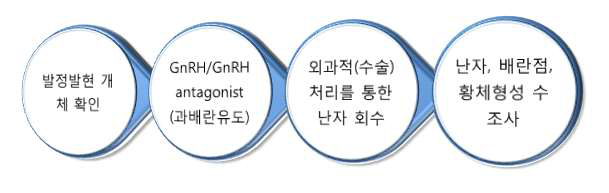 발정동기화 및 과배란 유도기술로 생산된 난자의 효율 검증