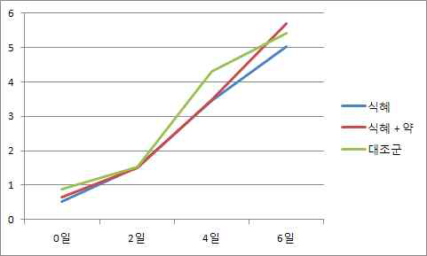 P4 분석