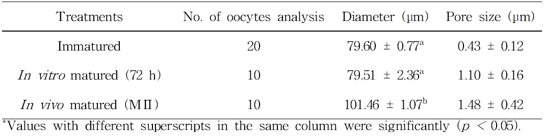 Average ZP pore size and diameter of in vivo matured oocytes with in vitro matured oocytes by scanning electron microscopy