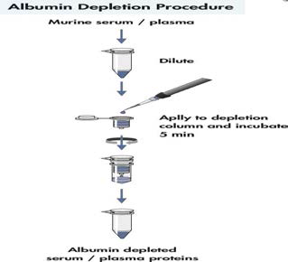 알부민 제거 방법 그림