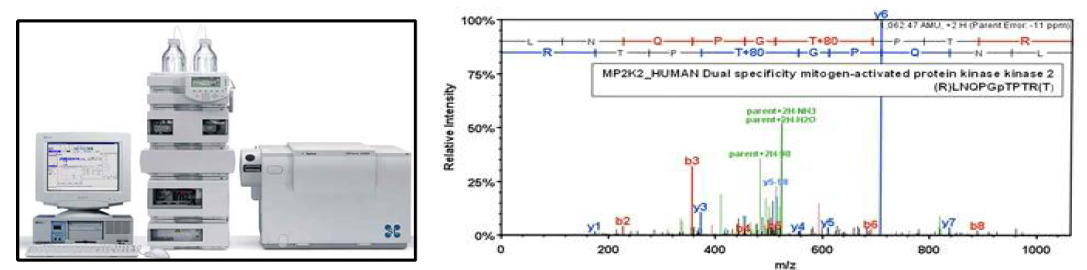 LC-MS/MS system (좌) 및 분석 결과 (우).