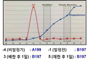 혈액샘플 채취시기