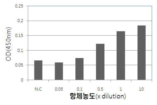 1차 항체 농도에 따른 검출 효능.