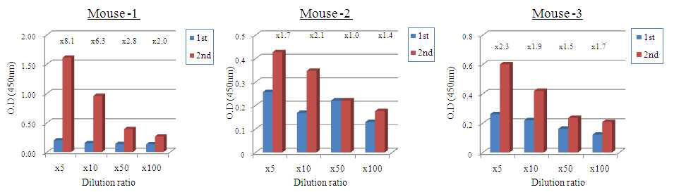 항원 progesterone 주입에 따른 항체 생산 능력 검증.