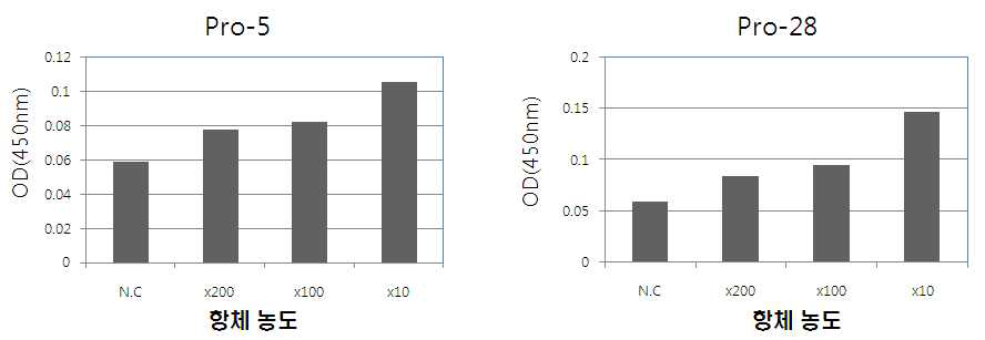 Progesterone 단클론 항체농도 변화에 따른 ELISA 효능 검증.