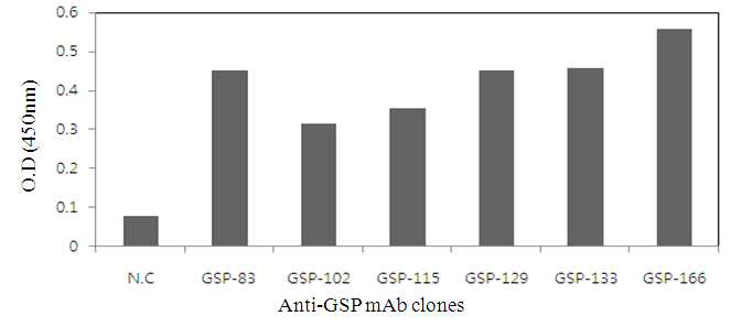 마우스 유래 항-GSP 단백질 결합 단클론 항체의 ELISA검증.